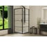 Душевой уголок Bravat BlackLine квадратный 900x900x2000 BS090.2115B 6