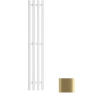 Полотенцесушитель электрический Reflexion home REFLEXION Гоби 1100x180 с крючками, золотой матовый RXT0311018GL
