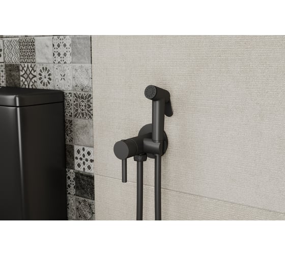 Смеситель с гигиеническим душем Bravat черный D9151BW-ENG