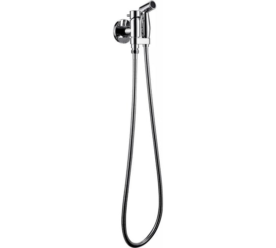 Смеситель с гигиеническим душем Bravat Eler D9137CP-RUS