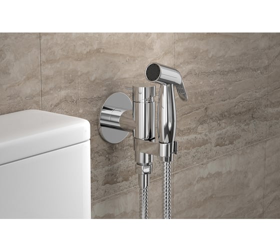 Смеситель с гигиеническим душем Bravat Eler D9137CP-RUS