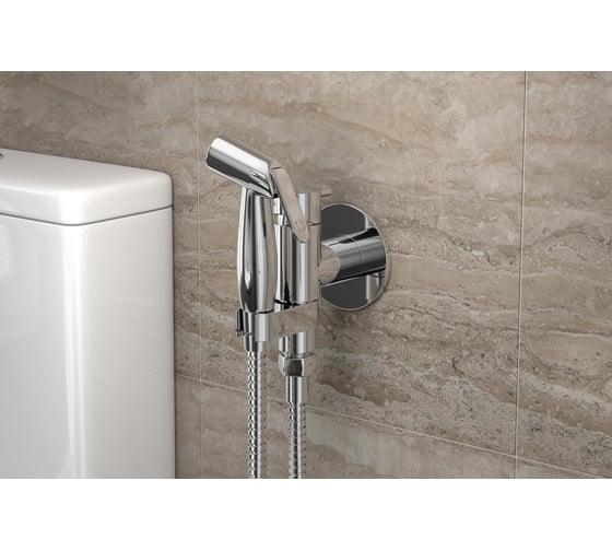 Смеситель с гигиеническим душем Bravat Eler D9137CP-RUS