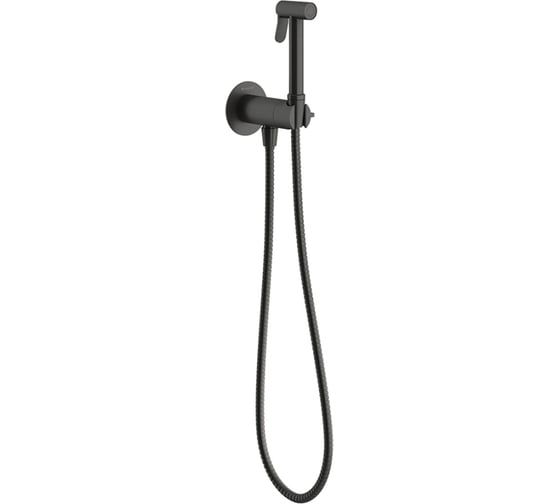 Смеситель скрытого монтажа с гигиеническим душем Aqueduto PUREZA AquaLock, со скрытой частью, оружейная сталь PUR0145