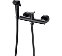 Смеситель с гигиеническим душем Bravat черный D9141BW-RUS