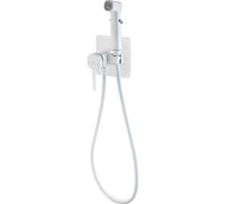 Встроенный гигиенический душ Rose R245C