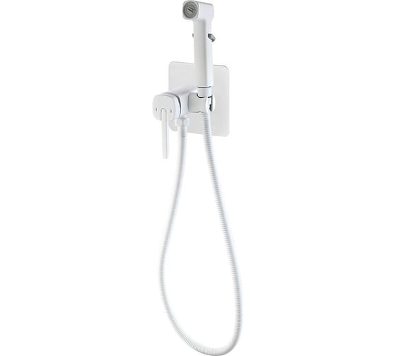 Встроенный гигиенический душ Rose R245C