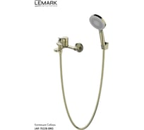 Смеситель для ванны LEMARK SIBERIA с аксессуарами, латунь, брашированное золото LMF-7022B-BRG