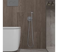 Встраиваемый гигиенический душ с термостатом Oliveeka, серия- Y, хром OL-829909-CR