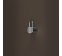 Крючок одинарный IDDIS нержавеющая сталь, Дюна (Duna), хром глянцевый, , DUNSB10i41
