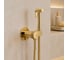 Смеситель с гигиеническим душем WasserKraft Muritz 9838PG 1