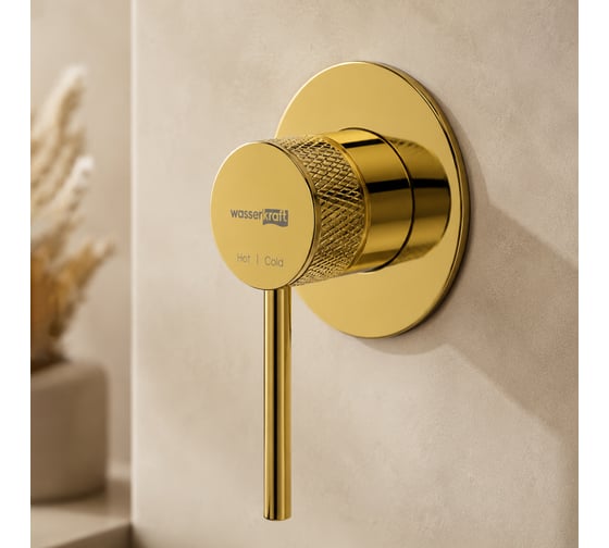 Смеситель встраиваемый WasserKraft Muritz 9851PG