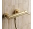 Смеситель для душа WasserKraft Niers 3002BG 2