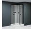 Душевая кабина RGW 100x100x200 AN-208-B, Полукруг/Чёрный/Матовое/5 мм (3 уп.) 381320800-24 2