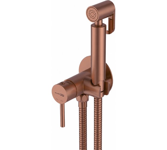 Смеситель с гигиеническим душем WasserKraft A70138BRG