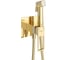 Гигиенический душ со смесителем BelBagno LUC-HGN-ORO 1
