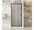Душевая дверь BelBagno UNO-195-BF-3-100-P-NERO 1