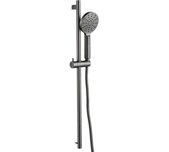 Душевой гарнитур ALLEN BRAU 5.E1A08-MG ECLIPSE 2.0 графит браш (377237) 00377237
