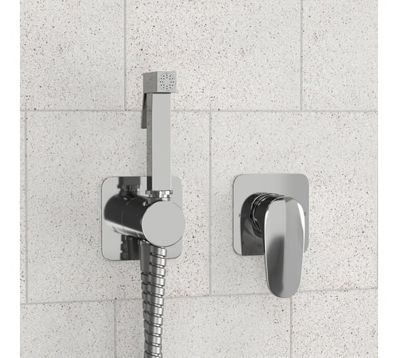 Встраиваемый комплект для биде со шлангом WasserKraft A3151.271.057.136
