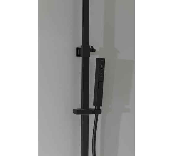 Душевая стойка ALLEN BRAU Infinity 5.21012-31 00265458