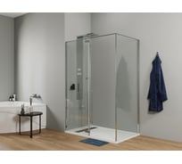 Душевой уголок ALLEN BRAU Fantasy 160x90 3.11005-00 00264974