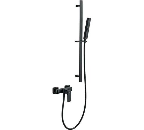 Смеситель для душа ALLEN BRAU Infinity 5.21010-31 00265454