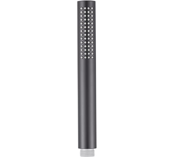 Душевая лейка Aquanet AF000-14B 00261832 1
