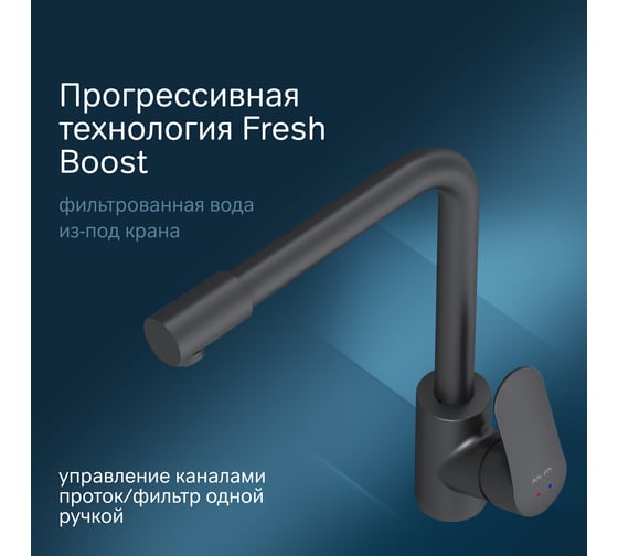 Смеситель для кухни AM.PM Like с каналом для питьевой воды, L-излив, черный матовый F8005722