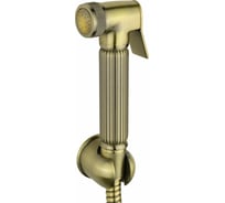 Гигиенический набор VERAGIO KIT металл/бронза 30811