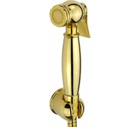 Гигиенический набор VERAGIO KIT металл/золото 30818