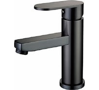 Смеситель для раковины Ekko черный E1081-8