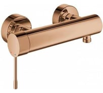 Однорычажный смеситель для душа GROHE Essence New 33636DA1