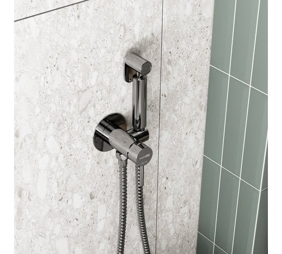 Встраиваемый смеситель для душа с гигиенической лейкой WasserKRAFT A70138