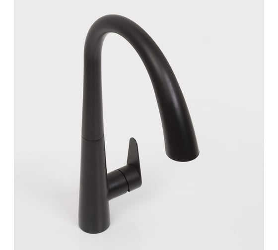 Смеситель для кухни WasserKRAFT A8667