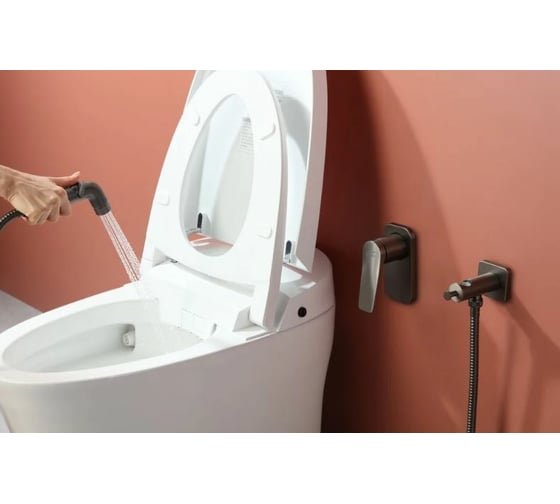 Смеситель с гигиеническим душем Lemark Bronx встраиваемый LM3719GM