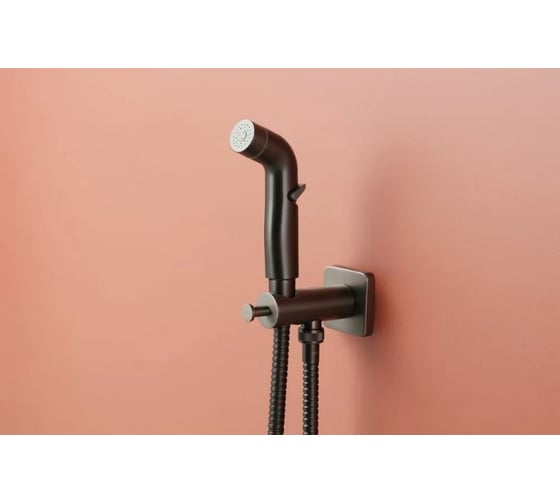 Смеситель с гигиеническим душем Lemark Bronx встраиваемый LM3719GM
