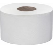 Туалетная бумага Focus JUMBO MINI 2-слоя, 170 м в рулоне 12 Н95хD190 мм, белая H-5036904n