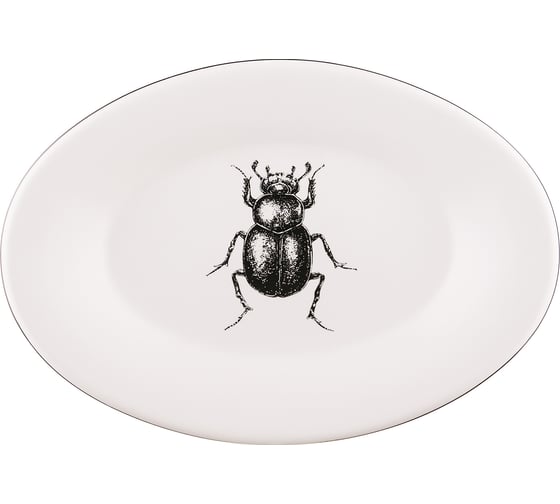 Мыльница Moroshka Buzz Fauna 10x14,5x5 см., цвет белый 927-311-01