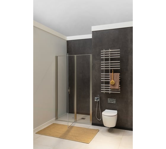 Душевая дверь ALLEN BRAU PRIORITY Optiwhite Easyclean серебро браш 3.31038.BA 00294067