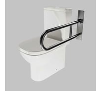 Поручень для унитаза Доминант откидной с креплением в стену(AISI 304) D-M1/05 23161461