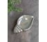 Мыльница shell Bath Plus W-CE3027AA-SD 8