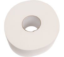 Туалетная бумага Protissue 2-сл 170 м в рулоне н95хd190 мм белая Г-С191