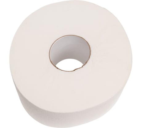 Бумага туалетная 2-сл 170 м в рулоне н95 х d185 мм белая Protissue С-191