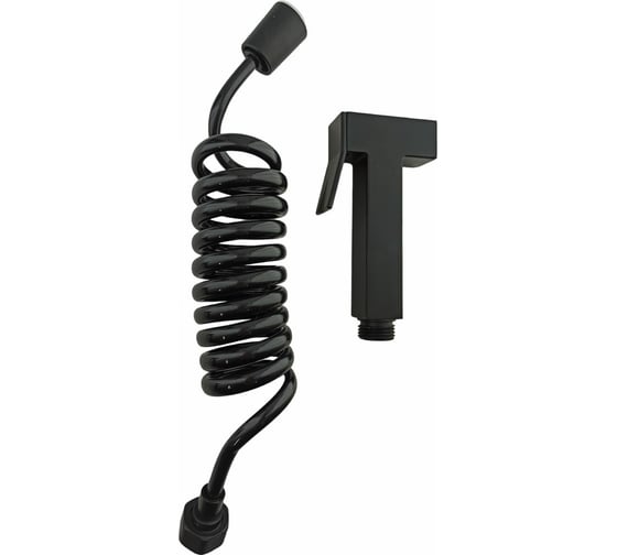 Смеситель для биде с гигиеническим душем Rainsberg черный матовый RH525H