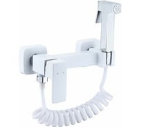 Смеситель для биде с гигиеническим душем Rainsberg белый матовый RH525K