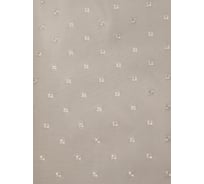 Комплект Bath Plus штора 180x200 moonbeam и кольца AKSK-11