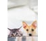 Штора Bath Plus 180x200 д/в pets (white) ch-21324 3
