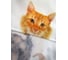 Штора Bath Plus 180x200 д/в pets (white) ch-21324 4