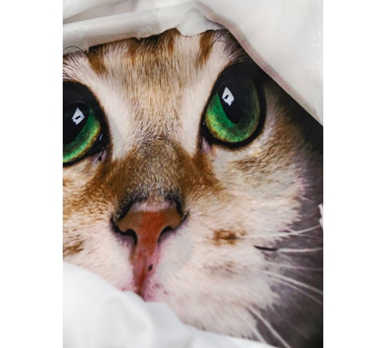 Штора Bath Plus 180x200 д/в cat3 (white) ch-21328