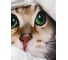 Штора Bath Plus 180x200 д/в cat3 (white) ch-21328 3