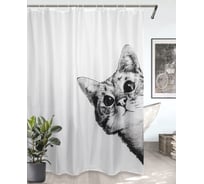 Комплект Bath Plus штора 180x200 д/в и кольца cat4 (white) akch-21326